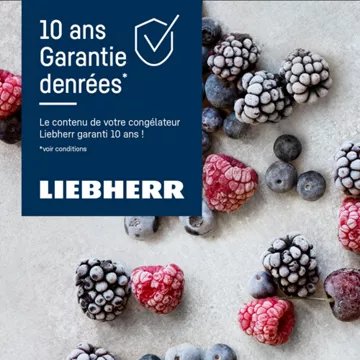 Congélateur coffre LIEBHERR CFE1870-26 – Image 4